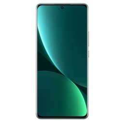 Xiaomi 12 Pro Dual Sim 12 GB + 256 GB Verde