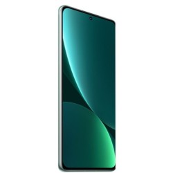 Xiaomi 12 Pro Dual Sim 12 GB + 256 GB Verde