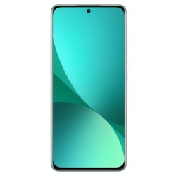 Xiaomi 12 Dual Sim 12 GB + 256 GB Verde