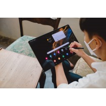Samsung Galaxy Tab S8 Ultra 14,6 X900 12 Go de RAM 256 Go Wi-Fi