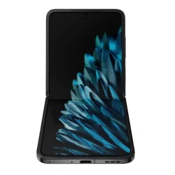 Oppo Find N2 flip 12GB+256GB Black