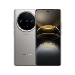 VIVO X100S Pro 12GB+256GB Grey