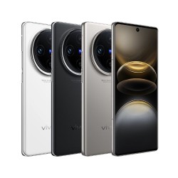 VIVO X100S Pro 12 GB + 256 GB Szary