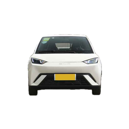 BYD Seagull (Flying Edition) Sprout green