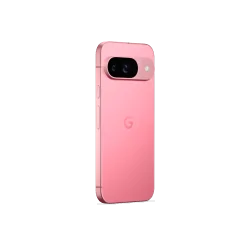 Google Pixel 9 Single Sim + eSim 128GB 5G (Peony) Specifiche USA