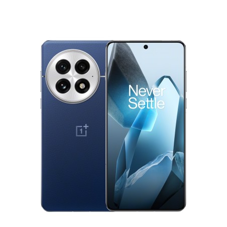 OnePlus 13 16GB+512GB Niebieski