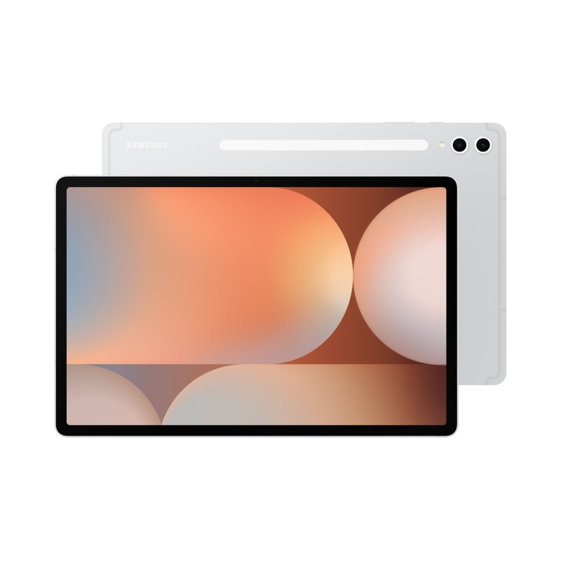 Samsung Galaxy Tab S10 Plus 12.4 X820 12 GB RAM 256 GB WLAN