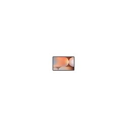 Samsung Galaxy Tab S10 Plus 12.4 X820 12 GB RAM 256 GB WLAN