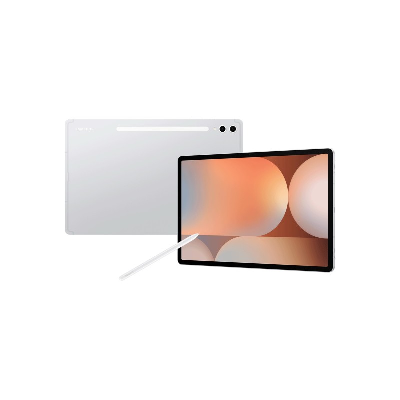 Samsung Galaxy Tab S10 Plus 12.4 X820 12 GB RAM 256 GB WLAN